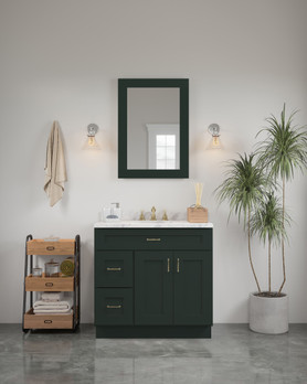 24-in x 34-in Shaker Framed Vanity Mirror, Green