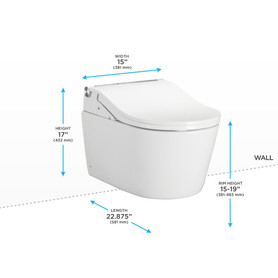 Toto(R) Washlet(R)+ Rp Wall-Hung D-Shape Toilet With Rw Bidet Seat And Duofit(R) In-Wall 1.28 And 0.9 Gpf Auto Dual-Flush Tank System, Matte Silver - Cwt4474547Cmfga#Ms