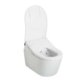 Toto(R) Washlet(R)+ Rp Wall-Hung D-Shape Toilet With Rx Bidet Seat And Duofit(R) In-Wall 1.28 And 0.9 Gpf Dual-Flush Tank System, Matte Silver