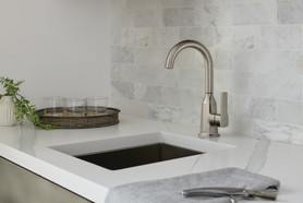 Peerless Ezra(R): Single-Handle Bar Faucet