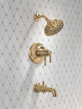 Delta Broderick(R): 17T Series Tub Shower Trim