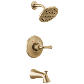 Delta Kayra(R): Monitor 14 Series Tub & Shower Shower Trim