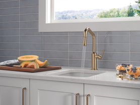 Delta Cordova(TM): Single Handle Pull-Down Bar/Prep Faucet
