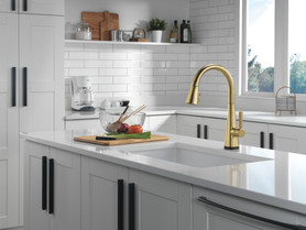 Delta Lenta(R): Single-Handle Pull-Down Kitchen Faucet with Touch<sub>2</sub>O(R) Technology