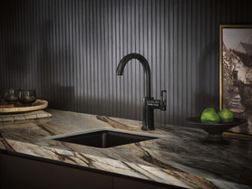 Brizo Kintsu(R): Bar Faucet with Arc Spout - Less Handle
