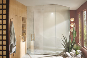 Brizo Other: Chromatherapy System