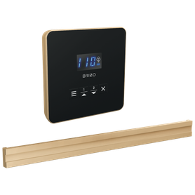 Brizo Other: Square + Bilateral Steam Set