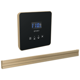 Brizo Other: Square + Bilateral Steam Set
