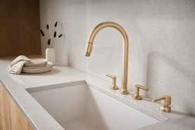 Brizo Kintsu(R): Soap/Lotion Dispenser