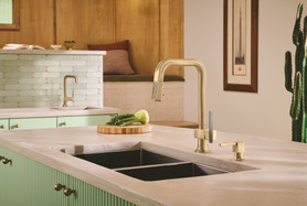 Brizo Frank Lloyd Wright(R): Soap/Lotion Dispenser