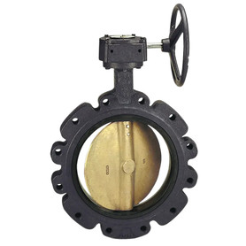 LD-2010-3 5 in. Butterfly Valve - Ductile Iron, 200 PSI, EPDM Seat
