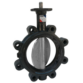 LD-L010-0 5 in. Butterfly Valve - Ductile Iron, Lug Type, 100 PSI, Actuated