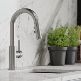 Avado Single Hole Bar Faucet With Pull-Down Spray And Lever Handle Lustrous Steel in Lustrous Steel