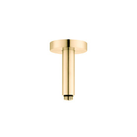 Raindance E Extension Pipe For Ceiling Mount in Brushed Gold Optic