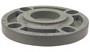 Blind Flange 4 CPVC Schedule 80 One-Piece Webbed Design"  - Box of 5