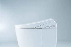1.0 and 0.8 GPF Dual Flush Toilet in Cotton