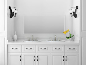 2-Handle Widespread Bathroom Faucet with Red/Blue Indicators and SC Drain in Brushed Nickel