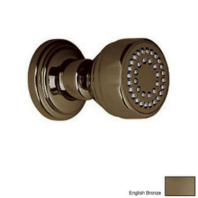 Single Function Body Spray in English Bronze