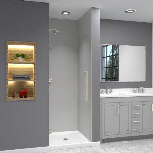 EHTA287610C-T-BS Elizabeth 28-in W x 76-in H Hinged Shower Door in Brushed Stainless with Clear Glass