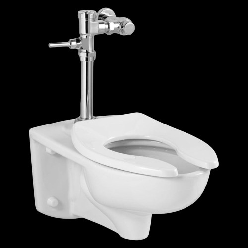 Commercial Millenium Toilet with Manual Flushing Valve Combo