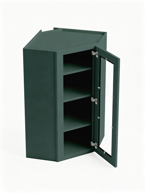 24 in. x 42 in. Ready to Assemble Easy Reach Wall Cabinet with Remington Frame Clear Glass Door, Green
