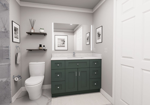 48-in x 21-in x 35-in Ready To Assemble Shaker Vanity Combo Base Cabinet With Double Drawer Stack, Green, VDDB48-RTA-FR01-GR