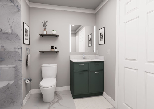 30-in x 21-in x 35-in Ready to Assemble Slim Shaker Double Door Double Drawer Front Vanity Sink Base Cabinet, Green, VS30-RTA-FR02-GR