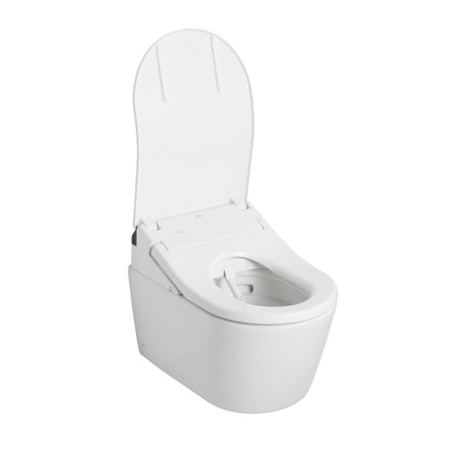 Toto(R) Washlet(R)+ Rp Wall-Hung D-Shape Toilet With Rx Bidet Seat And Duofit(R) In-Wall 1.28 And 0.9 Gpf Dual-Flush Tank System, Matte Silver