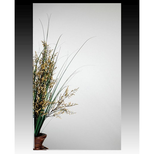 MC21244-SS Mirror Cabinet in Stainless Steel