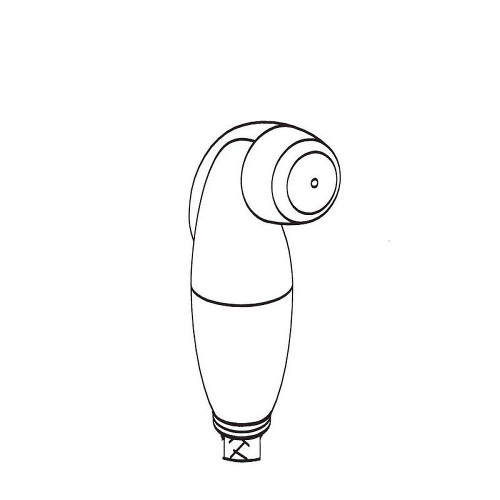 Spray Head and Hose Assembly in Brushed Platinum