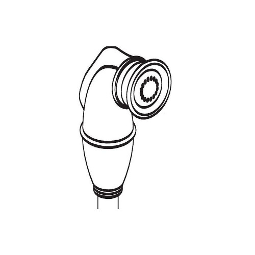 Replacement Side Spray with Hose in Spot Resist Stainless