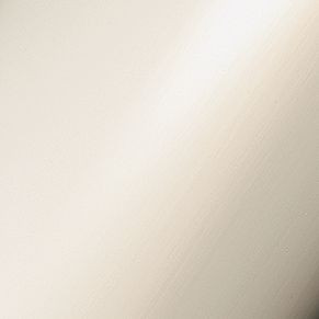 60-in Metal Handheld Shower Hose in Polished Nickel