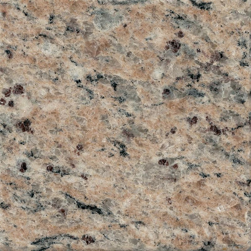 37-in x 19-in Bathroom Vanity Top with Eased Edge in Giallo Veneziano