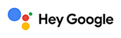 works with Hey Google