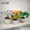 Freestanding Houseplants 2