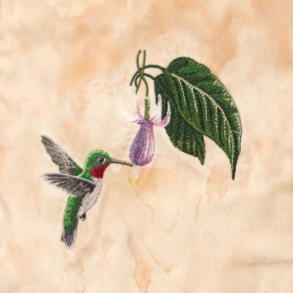 Hummingbird Dance by The Hautman Brothers