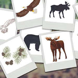 Into the Woods by Benartex Studios