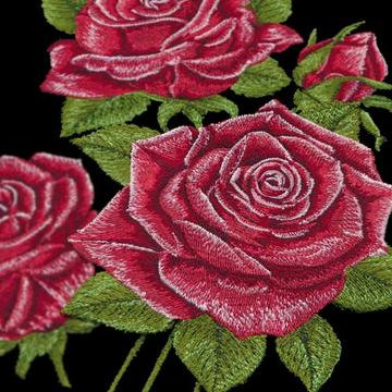 A Festival of Roses by Jackie Robinson