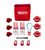 Laboratory Gas Valve Lockout Kit