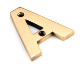 From The Anvil House Letters - 78mm - Polished Bronze