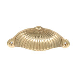 Domino Shell Drawer Pull Handle - 105 - Polished Brass