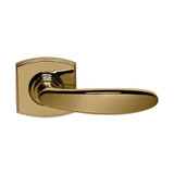 Domino Phanes Lever Door Handle - Curved Rosette - 55mm x 55mm - Polished Brass