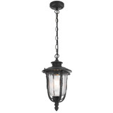 Telbix Ramiro Chain Pendant Light - Clear Glass - Black
