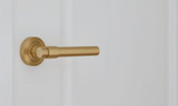 What Is a Dummy Door Handle?