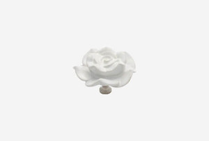 Ivory Porcelain Knobs