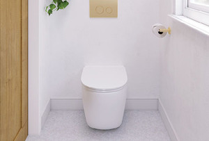 Fienza Toilets