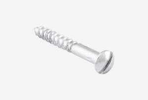 Chrome Screws