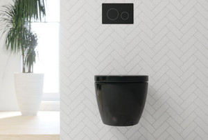 Wall Mounted Toilets