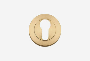 Brushed Brass Escutcheons