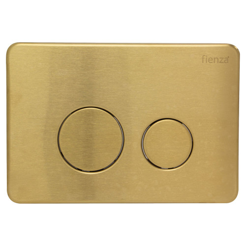 Fienza R&T Dual Flush Plate - 245 x 165mm - Urban Brass